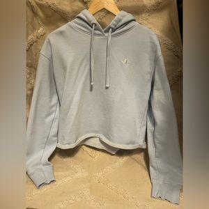 Slightly Cropped Baby Blue Champion Hoodie
